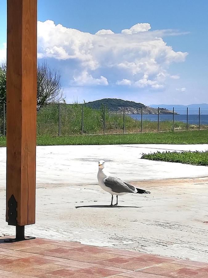 Mirini • Ancient Stagira Apts • Chalkidiki Олимпия Екстериор снимка