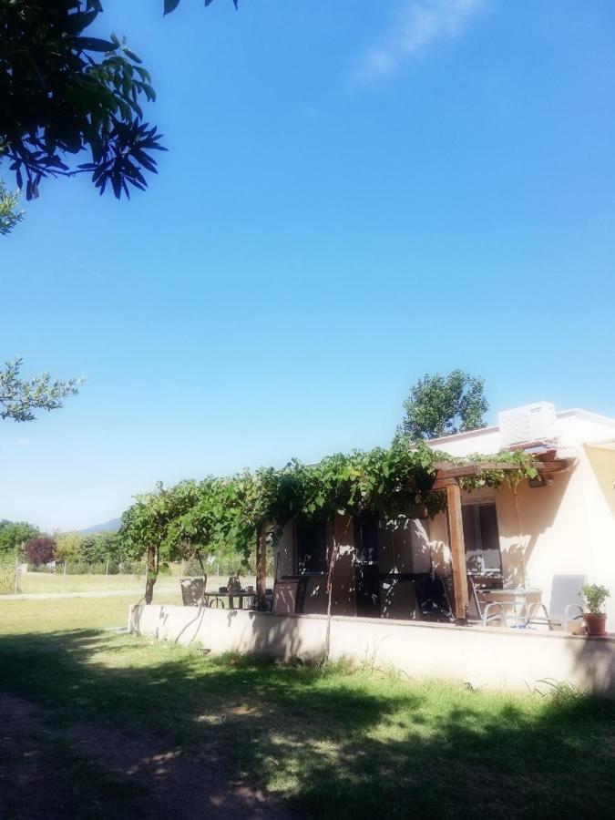 Mirini • Ancient Stagira Apts • Chalkidiki Олимпия Екстериор снимка