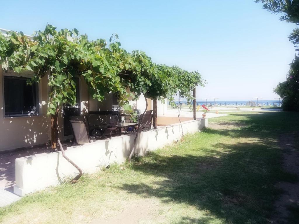 Mirini • Ancient Stagira Apts • Chalkidiki Олимпия Екстериор снимка